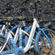 Bluegogo rental bicycles in a Beijing parking lot.